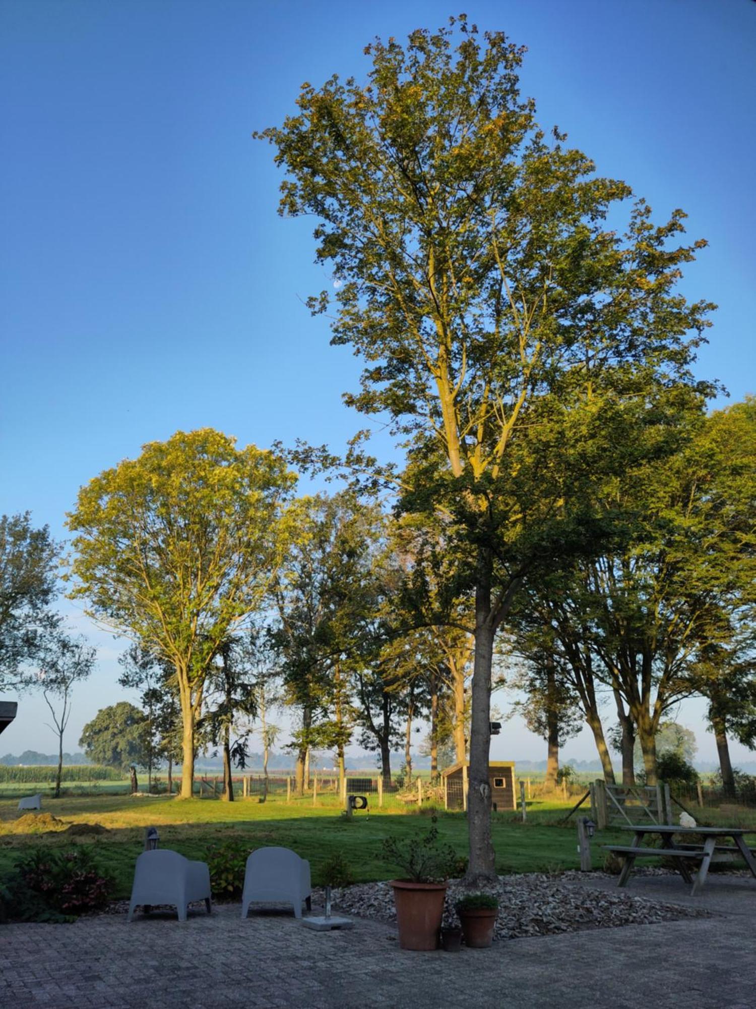'T Voske Bed and Breakfast Zundert Eksteriør billede